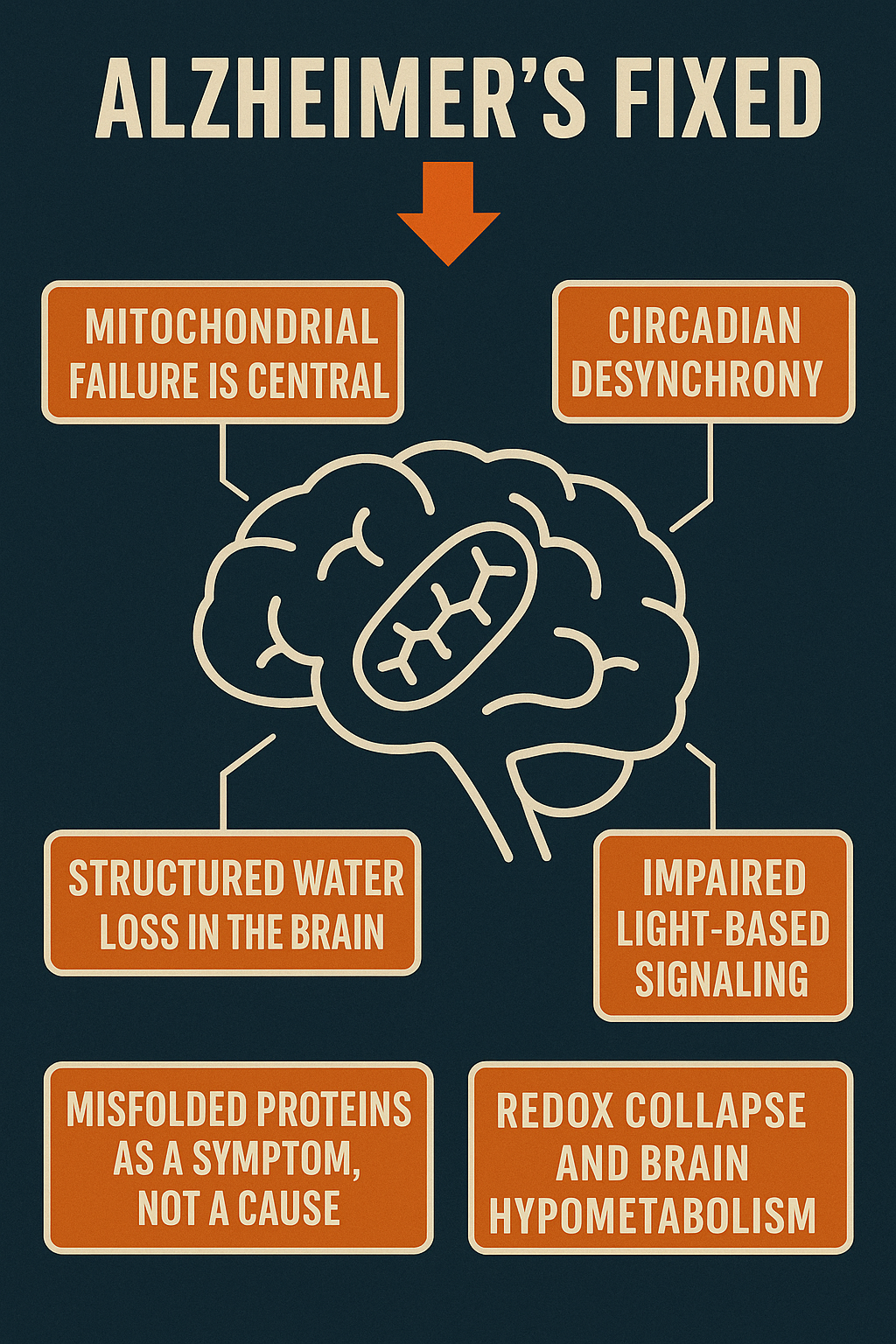 BioSpectral Systems Learning Hub article image: "Alzheimer’s Disease Biophysical Perspective"