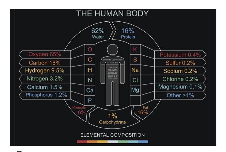BioSpectral Systems Learning Hub article image: "The Macro Perspective of Life Through a Biophysics Lens"