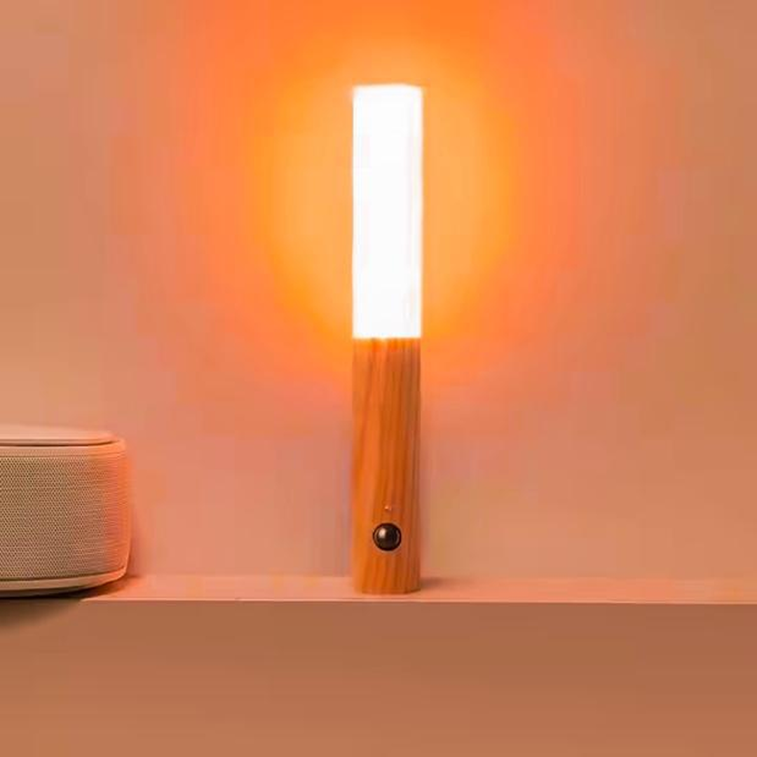 Motion Detector Night Light