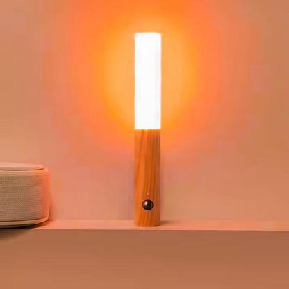 Motion Detector Night Light